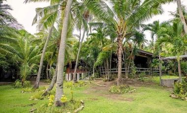 🌟 FOR SALE: Prime Beachfront Property in Matabungkay, Lian, Batangas 🌟