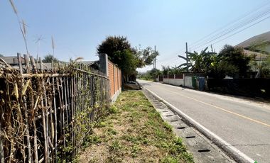 A Nice plot of Land for sale in San Kamphaeng