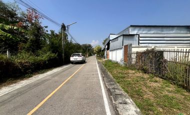 A Nice plot of Land for sale in San Kamphaeng