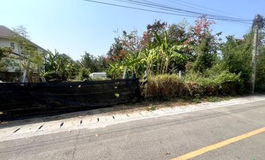 A Nice plot of Land for sale in San Kamphaeng