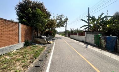 A Nice plot of Land for sale in San Kamphaeng