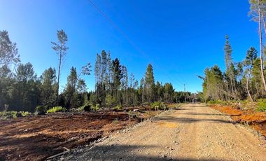 Hermosas Parcelas en venta Parral, Región del Maule