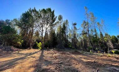 Hermosas Parcelas en venta Parral, Región del Maule