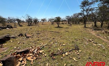 TERRENO EN VENTA EN IXTLAHUACAN DEL RIO