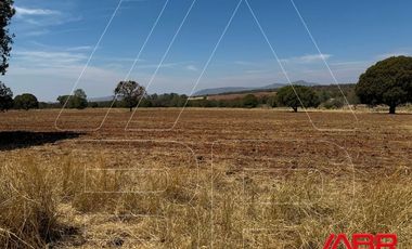 TERRENO EN VENTA EN IXTLAHUACAN DEL RIO