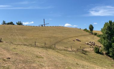 Campos en Los Muermos listos para invertir en tu proyecto, con electricidad y agua.