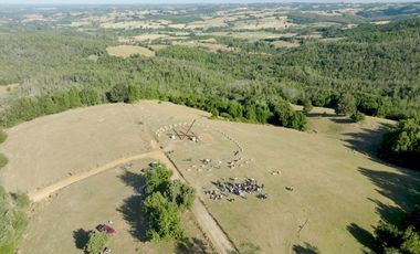 Campos en Los Muermos listos para invertir en tu proyecto, con electricidad y agua.