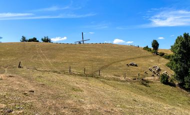 Campos en Los Muermos listos para invertir en tu proyecto, con electricidad y agua.