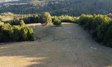 Campos en Los Muermos listos para invertir en tu proyecto, con electricidad y agua.