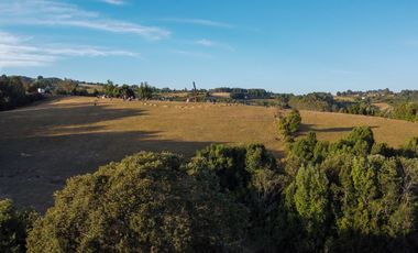 Campos en Los Muermos listos para invertir en tu proyecto, con electricidad y agua.