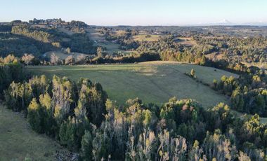 Campos en Los Muermos listos para invertir en tu proyecto, con electricidad y agua.