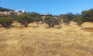 Villa Alemana, vende hermoso terreno rural semi plano 3.800 mts.