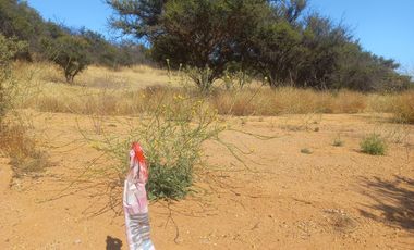 Villa Alemana, vende hermoso terreno rural semi plano 3.800 mts.
