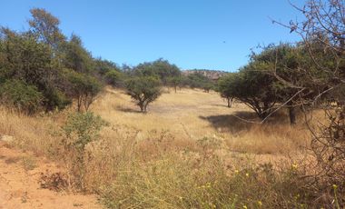 Villa Alemana, vende hermoso terreno rural semi plano 3.800 mts.