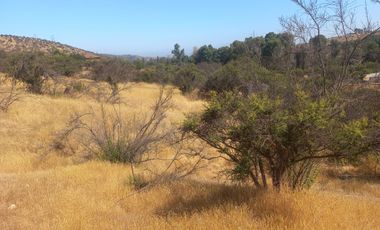 Villa Alemana, vende hermoso terreno rural semi plano 3.800 mts.