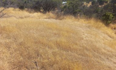 Villa Alemana, vende hermoso terreno rural semi plano 3.800 mts.