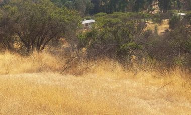 Villa Alemana, vende hermoso terreno rural semi plano 3.800 mts.