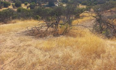 Villa Alemana, vende hermoso terreno rural semi plano 3.800 mts.