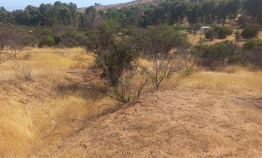 Villa Alemana, vende hermoso terreno rural semi plano 3.800 mts.