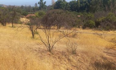 Villa Alemana, vende hermoso terreno rural semi plano 3.800 mts.