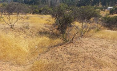 Villa Alemana, vende hermoso terreno rural semi plano 3.800 mts.