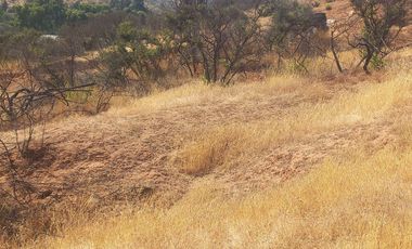 Villa Alemana, vende hermoso terreno rural semi plano 3.800 mts.