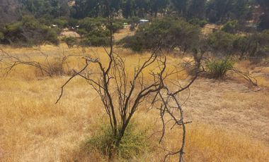 Villa Alemana, vende hermoso terreno rural semi plano 3.800 mts.