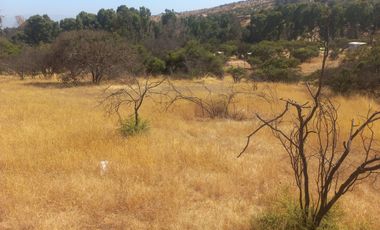 Villa Alemana, vende hermoso terreno rural semi plano 3.800 mts.