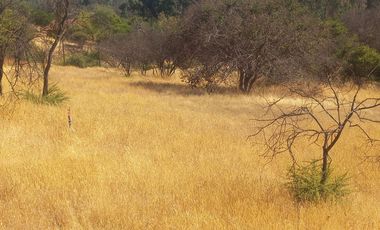 Villa Alemana, vende hermoso terreno rural semi plano 3.800 mts.