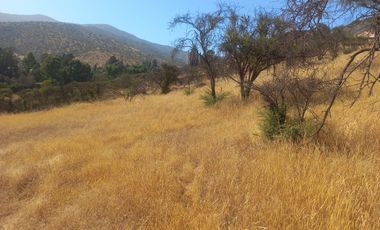 Villa Alemana, vende hermoso terreno rural semi plano 3.800 mts.