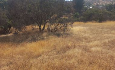 Villa Alemana, vende hermoso terreno rural semi plano 3.800 mts.
