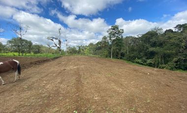 TERRENO DE VENTA UBICADO EN PEDRO VICENTE MALDONADO