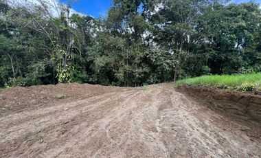 TERRENO DE VENTA UBICADO EN PEDRO VICENTE MALDONADO