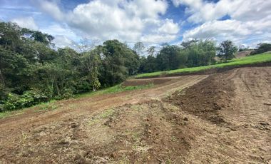 TERRENO DE VENTA UBICADO EN PEDRO VICENTE MALDONADO