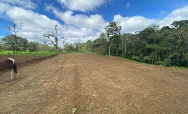 TERRENO DE VENTA UBICADO EN PEDRO VICENTE MALDONADO