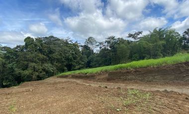 TERRENO DE VENTA UBICADO EN PEDRO VICENTE MALDONADO