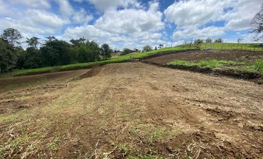TERRENO DE VENTA UBICADO EN PEDRO VICENTE MALDONADO
