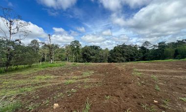 TERRENO DE VENTA UBICADO EN PEDRO VICENTE MALDONADO