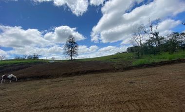 TERRENO DE VENTA UBICADO EN PEDRO VICENTE MALDONADO