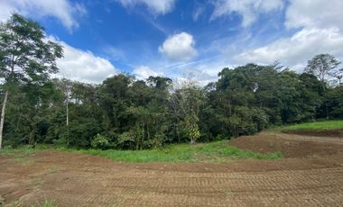 TERRENO DE VENTA UBICADO EN PEDRO VICENTE MALDONADO