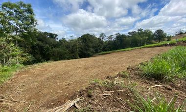 TERRENO DE VENTA UBICADO EN PEDRO VICENTE MALDONADO