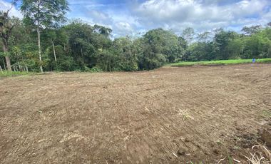 TERRENO DE VENTA UBICADO EN PEDRO VICENTE MALDONADO