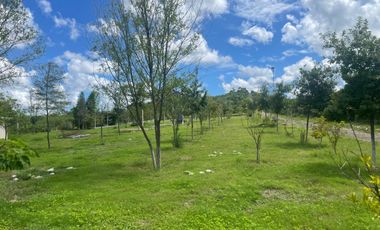 Terreno en Venta Puerto de las Flores Montemorelos Nuevo León