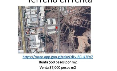 1,214 Y 1,271 separados o juntos Palma Cyca, Jurica, Querétaro