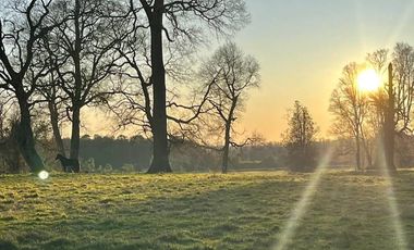 Parcelas a 15 minutos de Villarrica