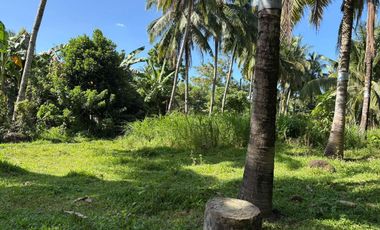 Interior Residential Lot for Sale ID 14943