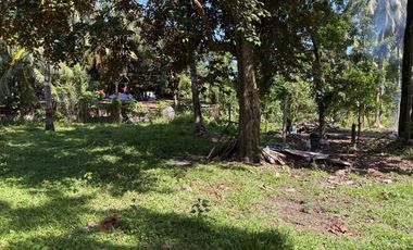Interior Residential Lot for Sale ID 14943