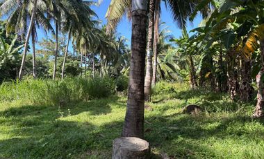 Interior Residential Lot for Sale ID 14943