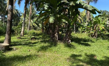 Interior Residential Lot for Sale ID 14943