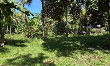 Interior Residential Lot for Sale ID 14943